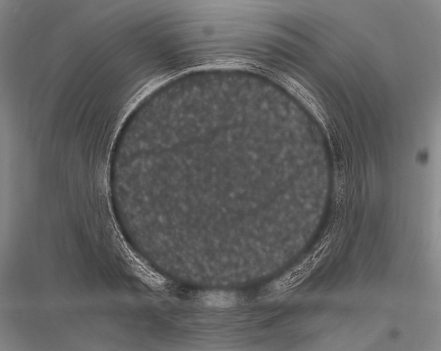 X0000116800797201001291539