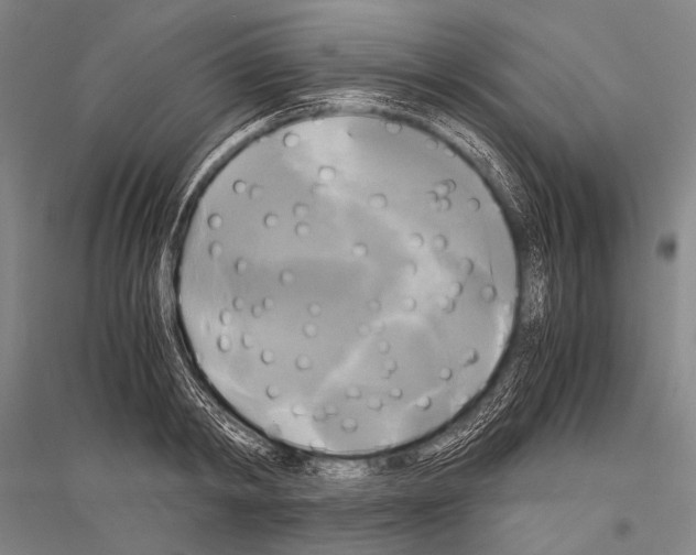 X0000116800798201001291539