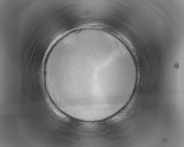 X0000116800800201001291539