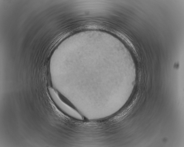 X0000116800801201001291539