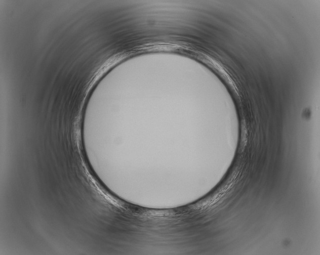 X0000116800802201001291539