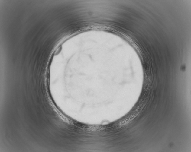 X0000116800803201001291539