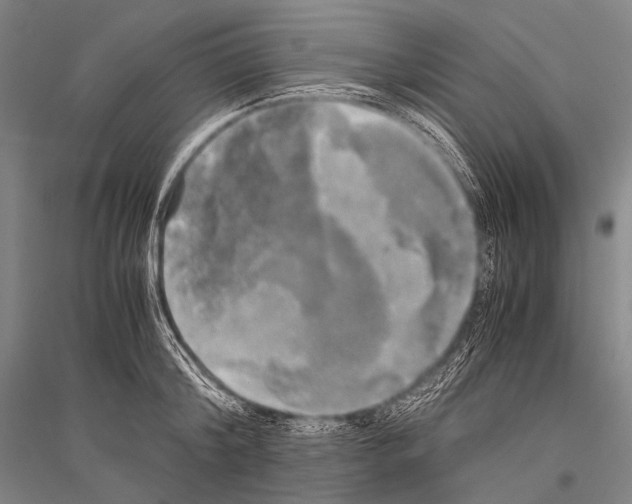 X0000116800804201001291539