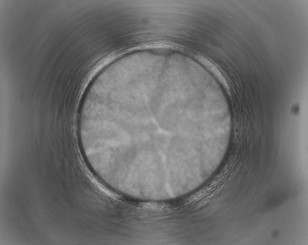 X0000116800805201001291539
