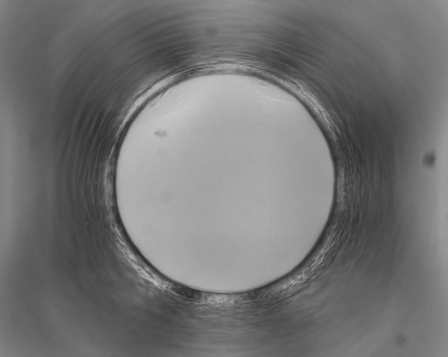 X0000116800806201001291539