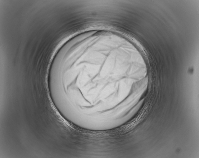 X0000116800807201001291539