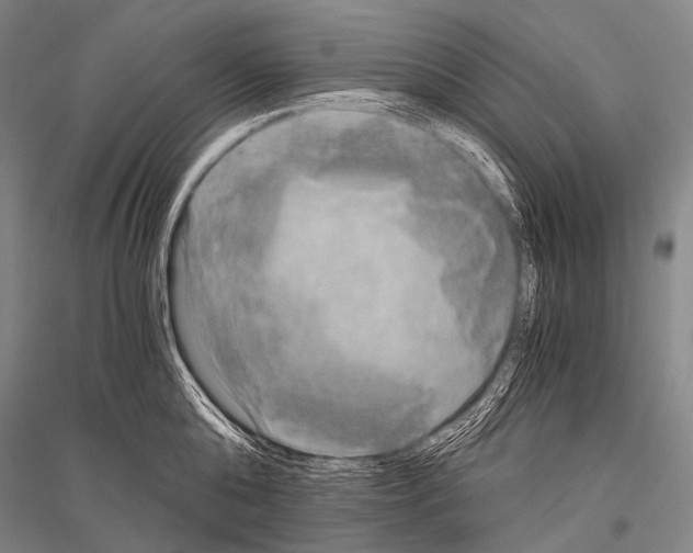 X0000116800808201001291539
