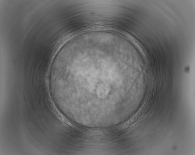 X0000116800810201001291539