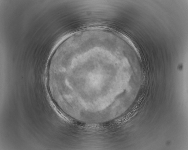X0000116800811201001291539