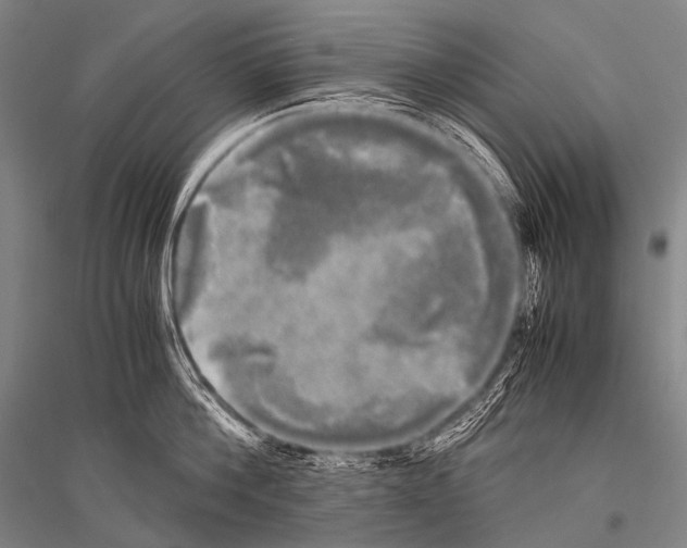 X0000116800812201001291539