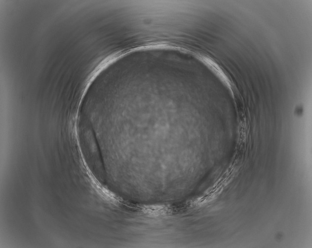 X0000116800813201001291539