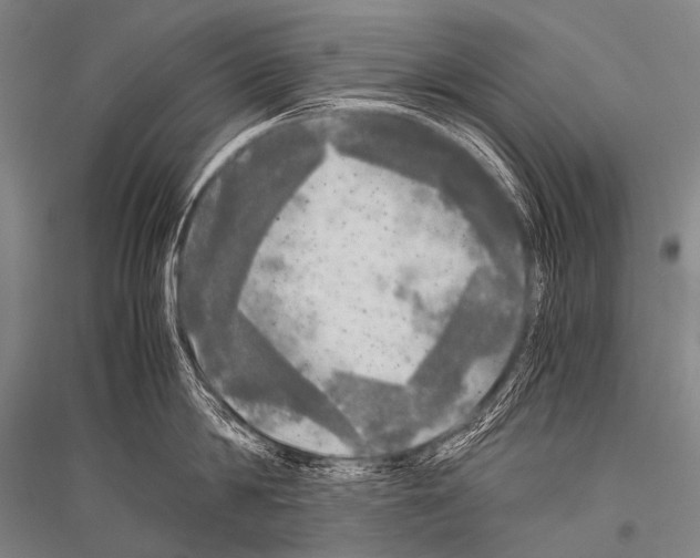 X0000116800814201001291539