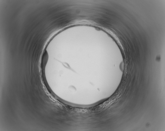X0000116800815201001291538