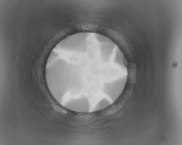 X0000116800817201001291538