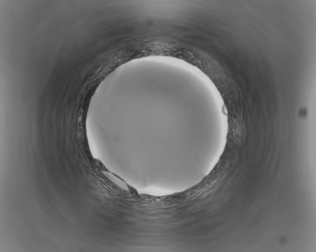 X0000116800818201001291538