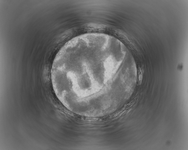 X0000116800819201001291538