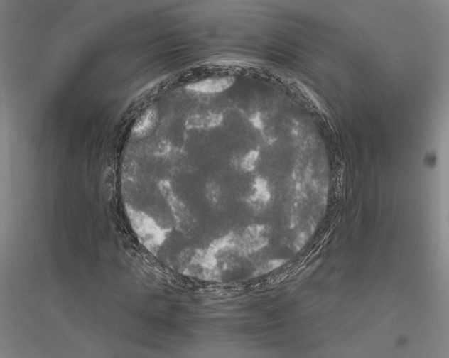 X0000116800821201001291538