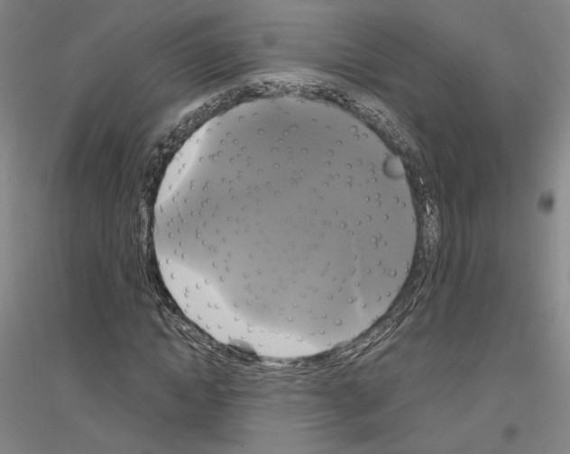 X0000116800822201001291538