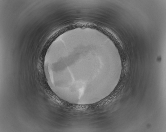 X0000116800823201001291538
