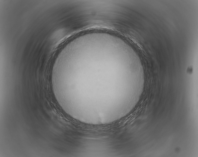 X0000116800824201001291538