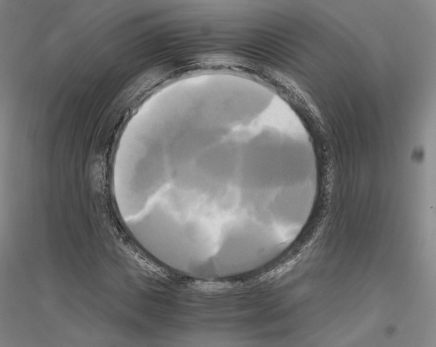 X0000116800825201001291538