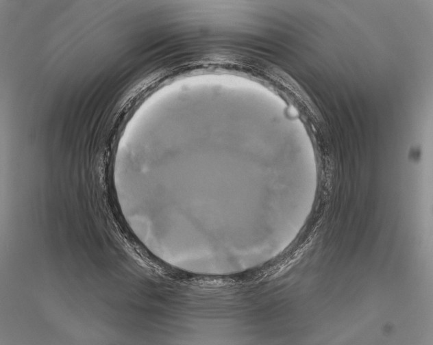 X0000116800826201001291538