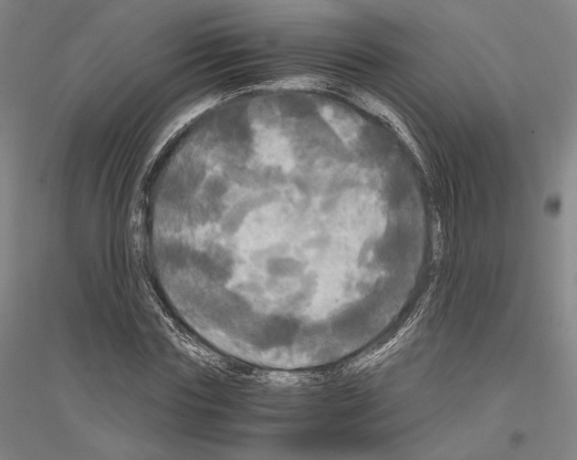 X0000116800827201001291538