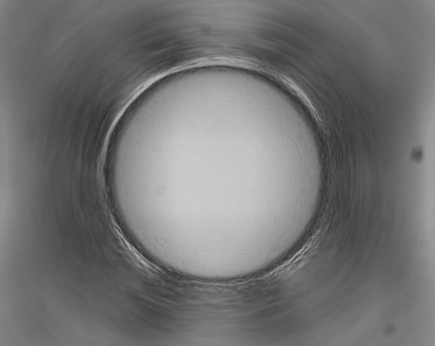 X0000116800828201001291538