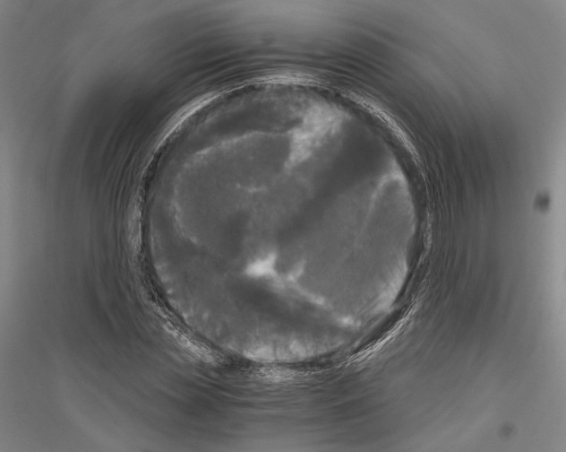 X0000116800829201001291538