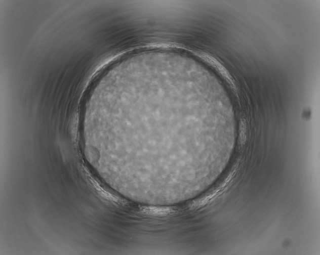 X0000116800831201001291538