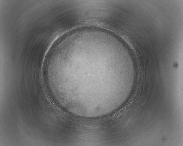 X0000116800832201001291538
