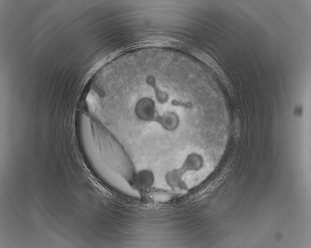 X0000116800834201001291538