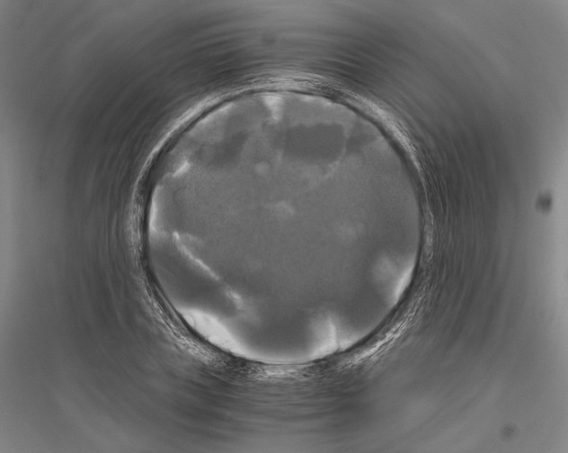 X0000116800835201001291538