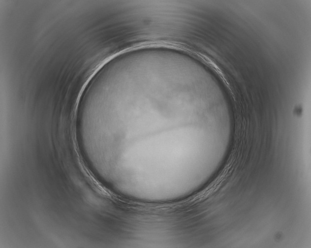 X0000116800836201001291538