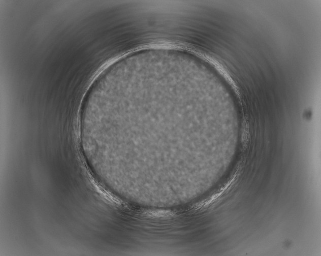 X0000116800837201001291538