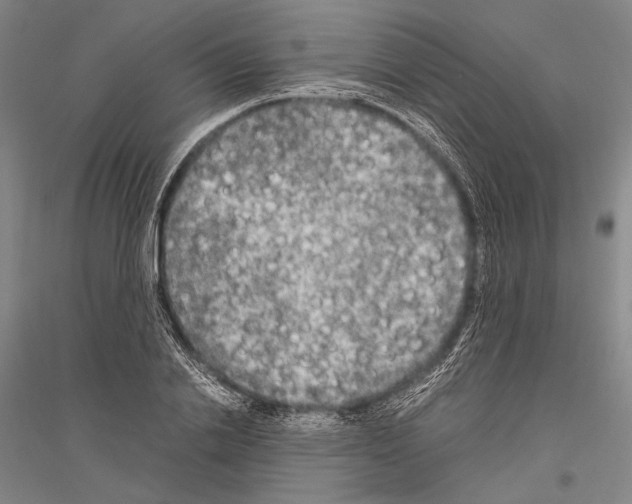 X0000116800838201001291538