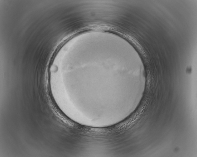 X0000116800840201001291538
