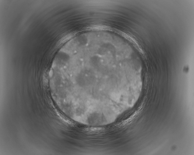 X0000116800841201001291538