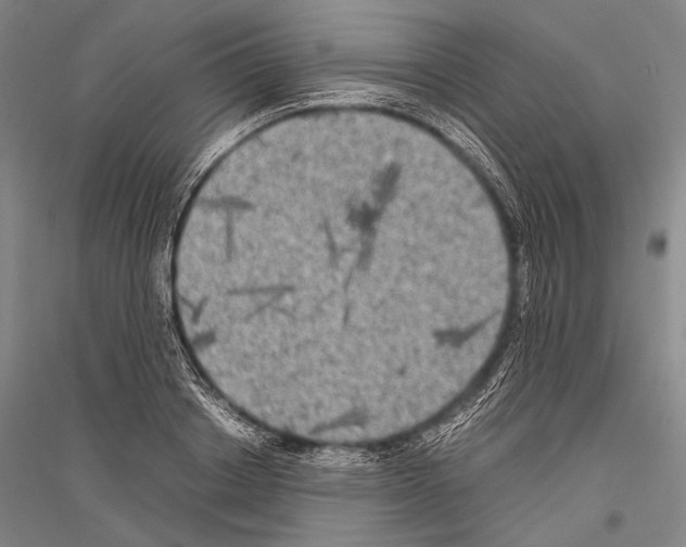 X0000116800842201001291538