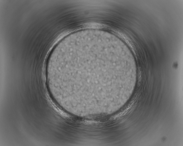 X0000116800843201001291538