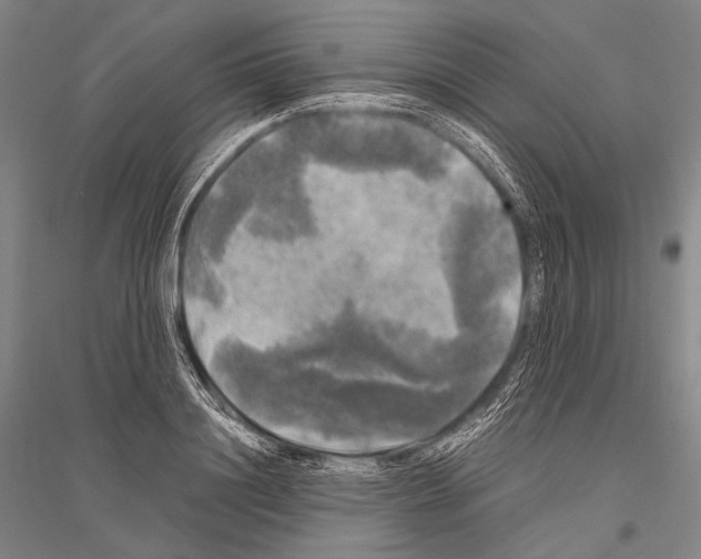 X0000116800844201001291538