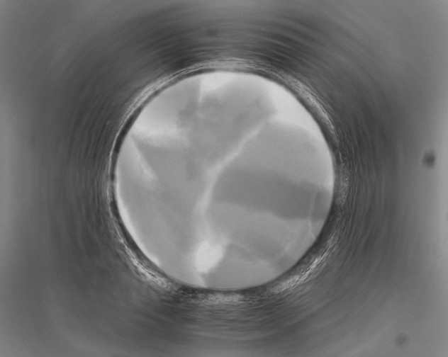 X0000116800845201001291538