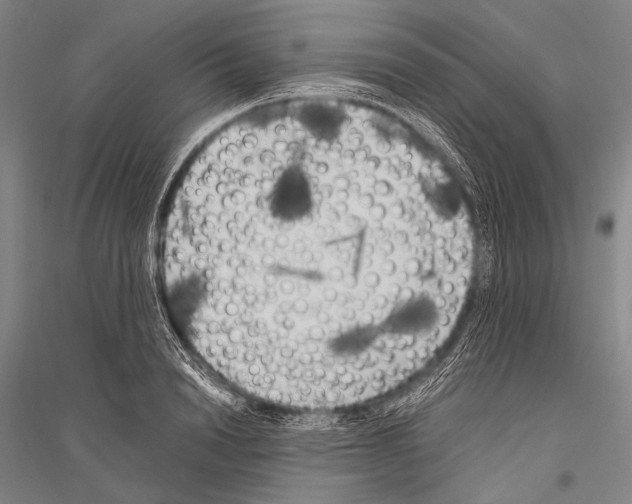 X0000116800846201001291538