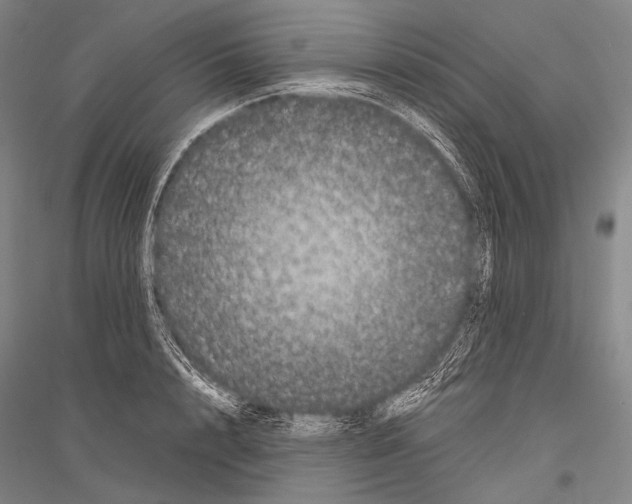 X0000116800848201001291538