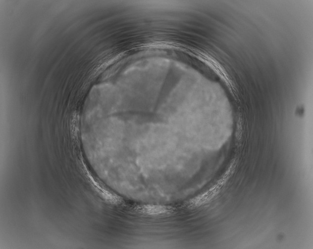 X0000116800849201001291538