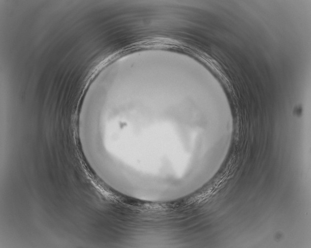X0000116800850201001291538