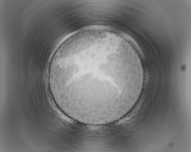 X0000116800852201001291538