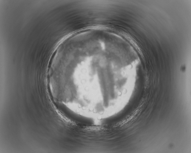 X0000116800853201001291538