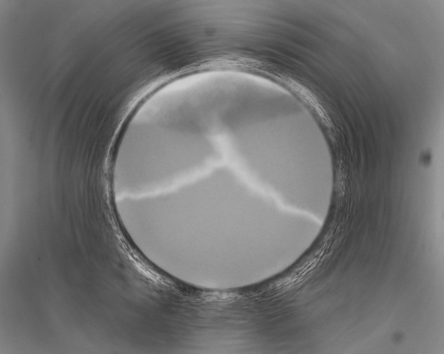 X0000116800854201001291538