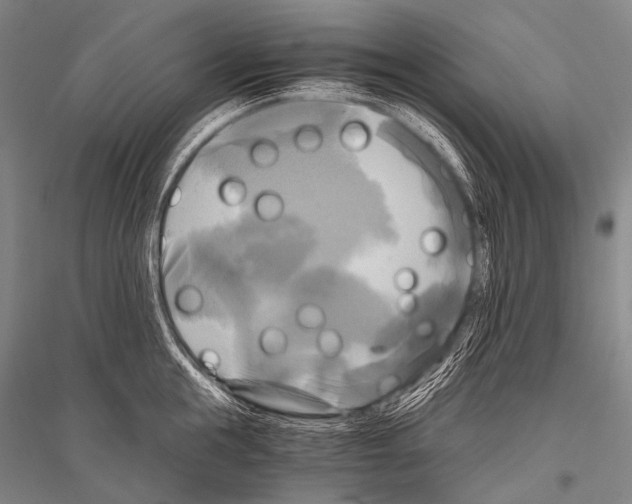 X0000116800855201001291538